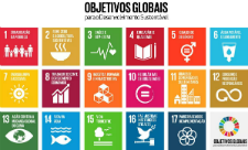 Objetivos de Desenvolvimento do Mil�nio